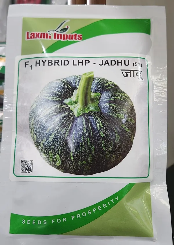 F1_Hybrid_LHP_-_Jadhu_pumkin_Seeds_(50g)