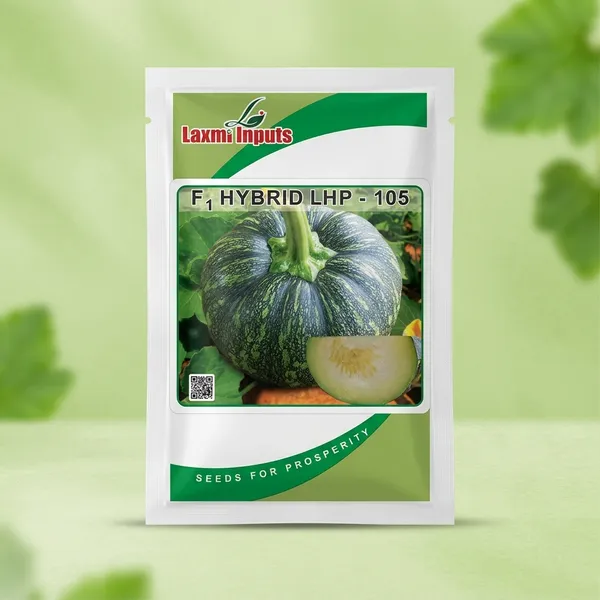 Laxmi_Inputs_F1_Hybrid_Pumpkin_Seeds_LHP-105_-_High_Quality_Vegetable_Seeds