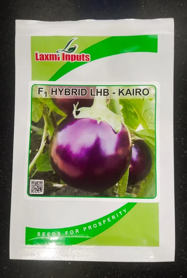 F1_Hybrid_LHB_Kairo_Brinjal_Seeds_-_Premium_Quality