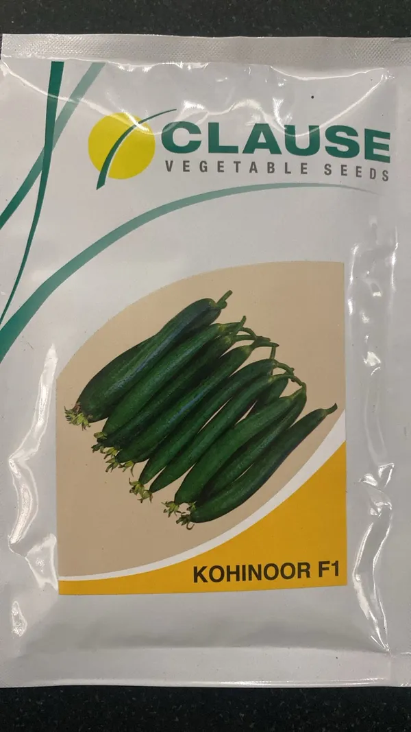 Kohinoor_F1_Hybrid_Vegetable_Seeds_-_Premium_Quality