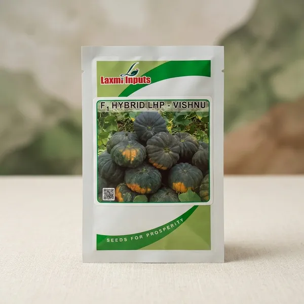F1_Hybrid_LHP_Vishnu_Pumpkin_Seeds_by_Laxmi_Inputs