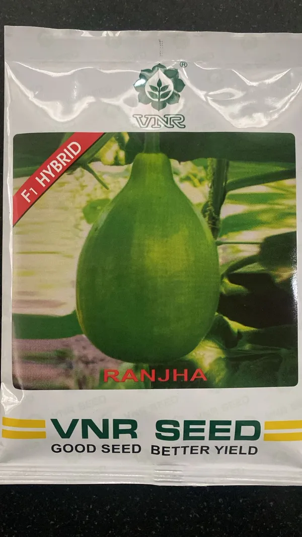 VNR_Ranjha_F1_Hybrid_Bottle_Gourd_Seeds_-_Premium_Quality_for_Better_Yield