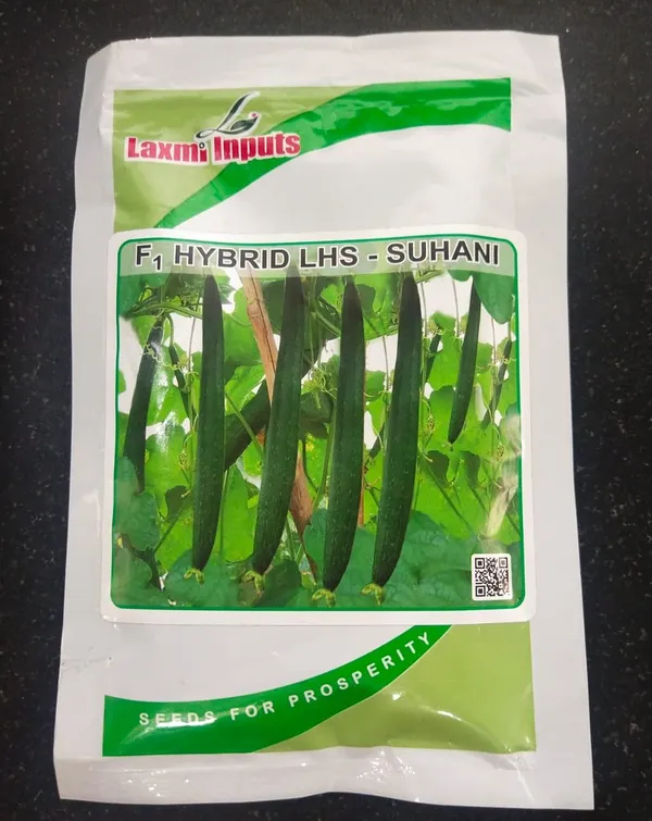 F1_Hybrid_LHS_Suhani_-spoung_gourd_by_Laxmi_Inputs