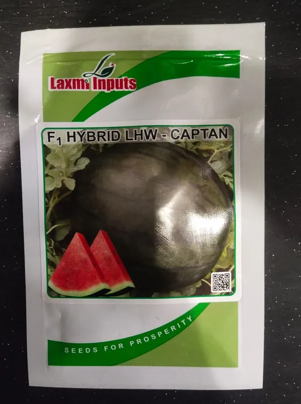 F1_Hybrid_LHW_Captan_Watermelon_Seeds_by_Laxmi_Inputs