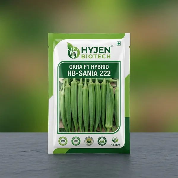 HB-SANIA_222_Okra_F1_Hybrid_Seeds_by_Hyjen_Biotech