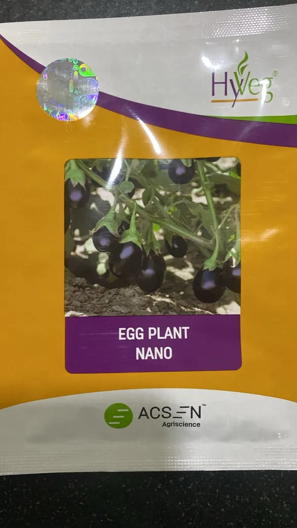 HYve3_Egg_Plant_Nano_Seeds_-_ACSEN_Agriscience