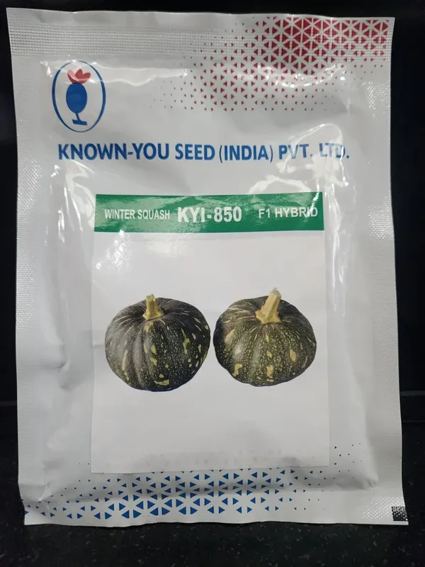 Known-You_Winter_Squash_KYI-850_F1_Hybrid_Seeds