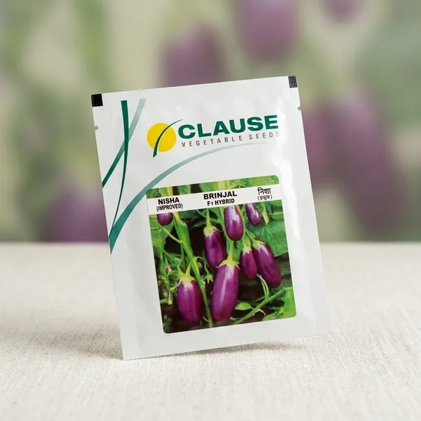 Clause_Nisha_(Improved)_Brinjal_F1_Hybrid_Vegetable_Seeds