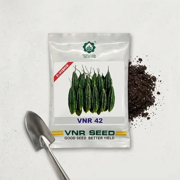 VNR_42_F1_Hybrid_Bitter_Gourd_Seeds_(Karela_Seeds)