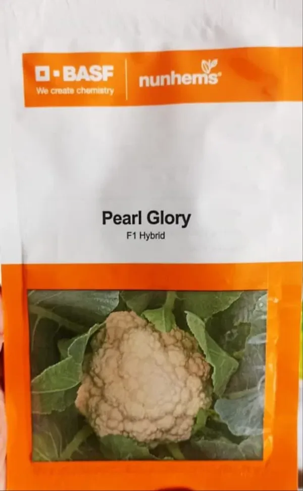 BASF_Nunhems_Pearl_Glory_F1_Hybrid_Cauliflower_Seeds