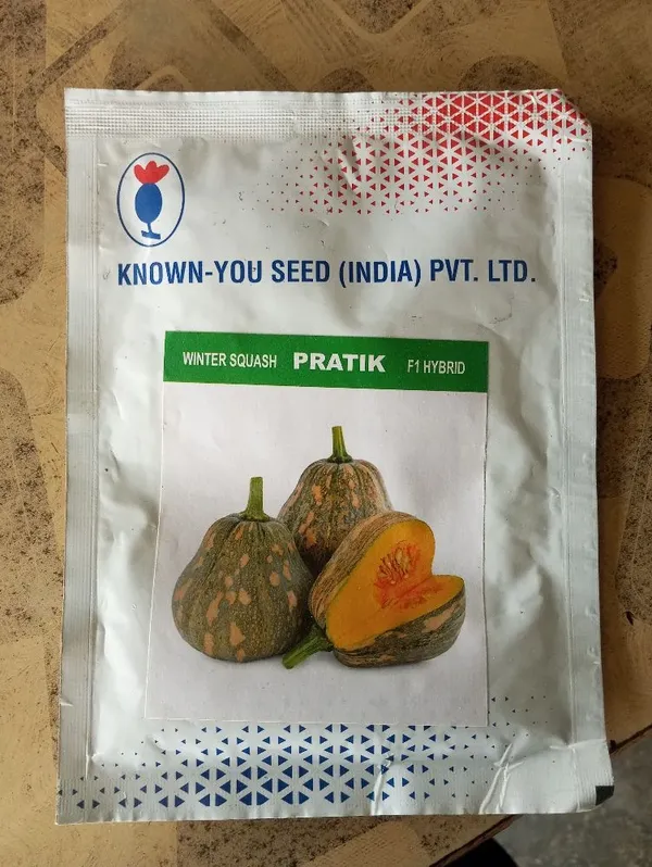 KNOWN-YOU_Winter_Squash_Pratik_F1_Hybrid_Seeds_-_Premium_Vegetable_Seeds_for_Home_Gardening
