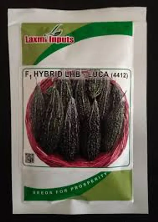 F1_Hybrid_LHB_-_LUCA_(4412)_Vegetable_Seeds_by_Laxmi_Impurs