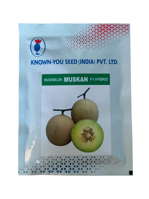 Known-You_Muskan_F1_Hybrid_Muskmelon_Seeds