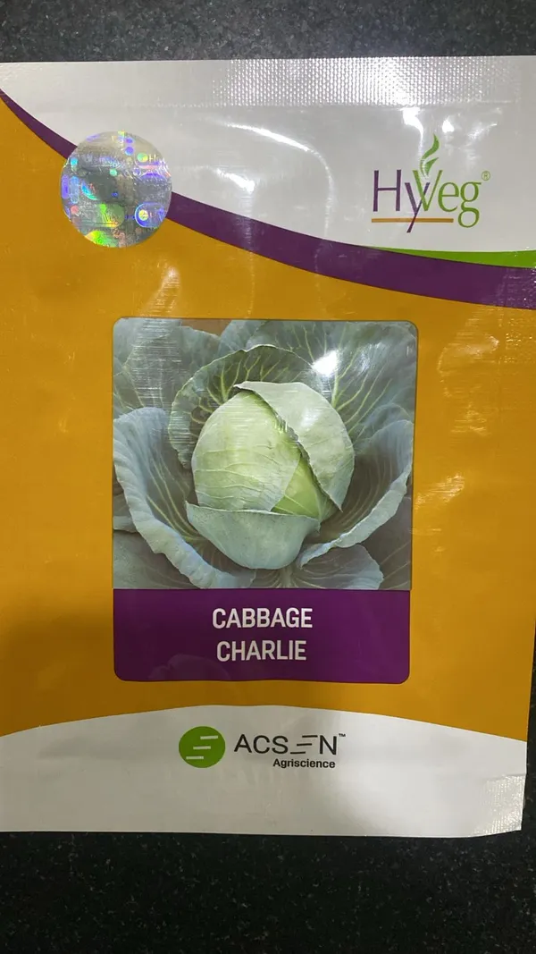HyVeg_Charlie_Cabbage_Seeds_-_Premium_Quality_Vegetable_Seeds_for_Home_Gardening