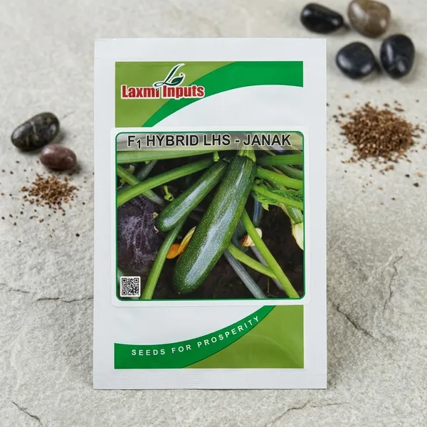 F1_Hybrid_LHS_Janak_-_Premium_Vegetable_Seeds_by_Laxmi_Inputs