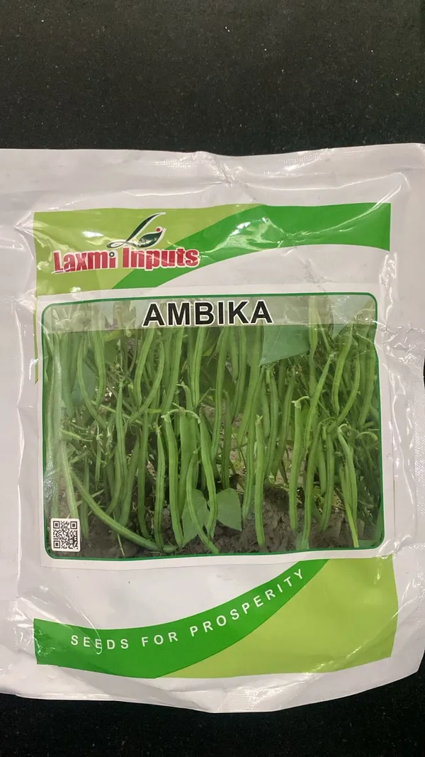 Ambika_Cluster_Bean_Seeds_(Guar)_-_Laxmi_Inputs
