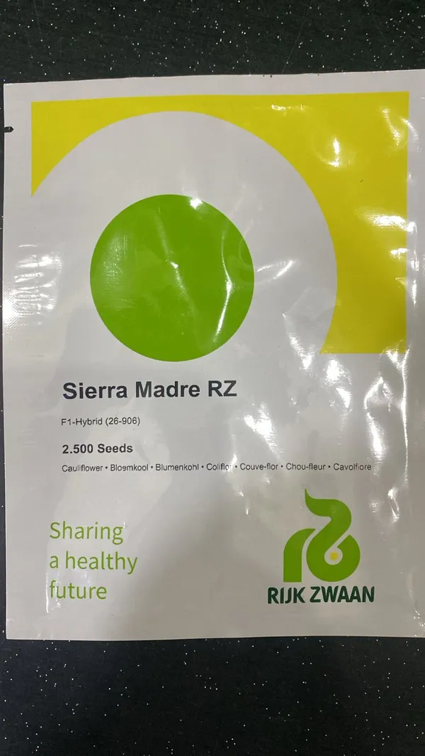 Sierra_Madre_RZ_F1-Hybrid_Cauliflower_Seeds_by_Rijk_Zwaan_-_2,500_Seeds
