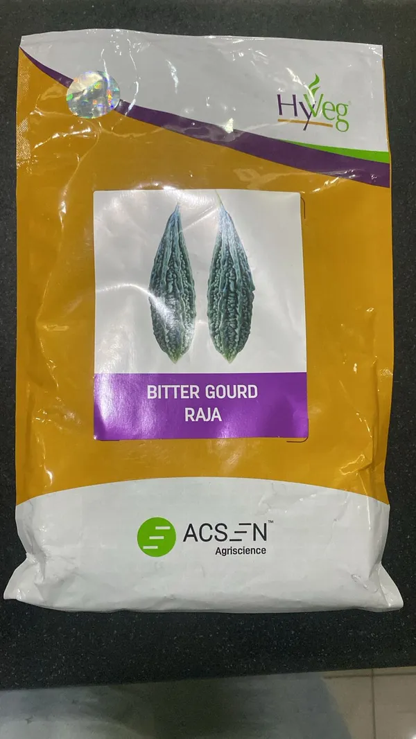 HyVeg_Bitter_Gourd_Raja_Seeds_-_High_Quality_Vegetable_Seeds_for_Home_Gardening