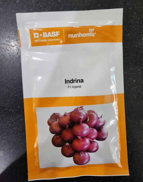 Indrina_F1_Hybrid_Onion_Seeds_-_BASF_Nunhems
