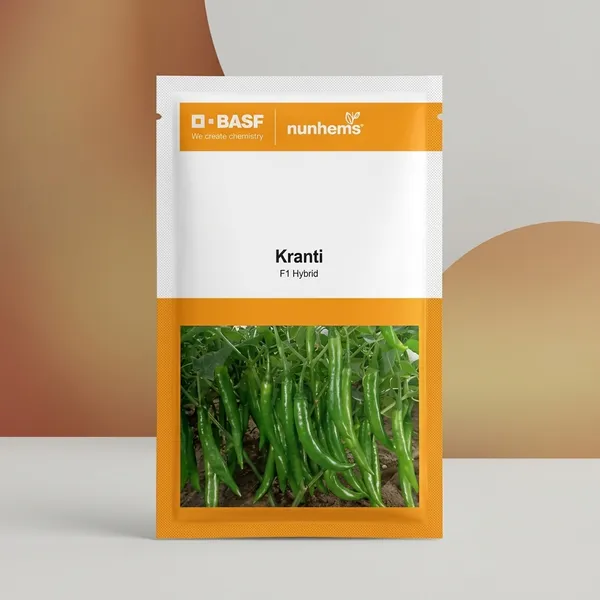 Kranti_F1_Hybrid_Green_Chilli_Seeds_by_BASF_Nunhems