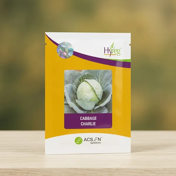 HyVeg_Charlie_Cabbage_Seeds_-_Premium_Quality_Vegetable_Seeds_for_Home_Gardening