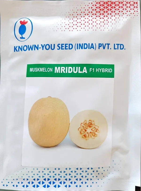 Muskmelon_Mridula_F1_Hybrid_Seeds_-_Known-You_Seed_(India)_Pvt._Ltd.