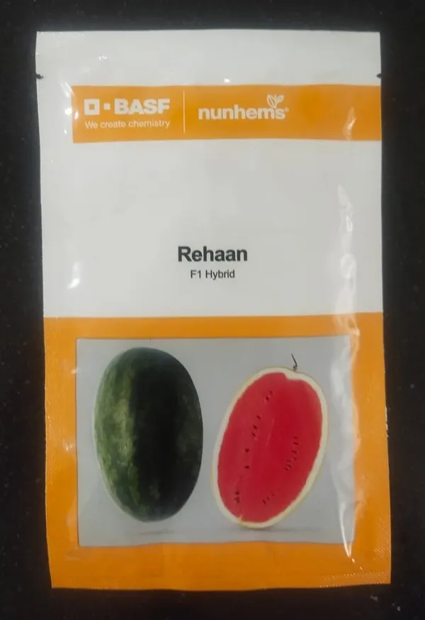 Rehaan_F1_Hybrid_Watermelon_Seeds_-_BASF_Nunhems