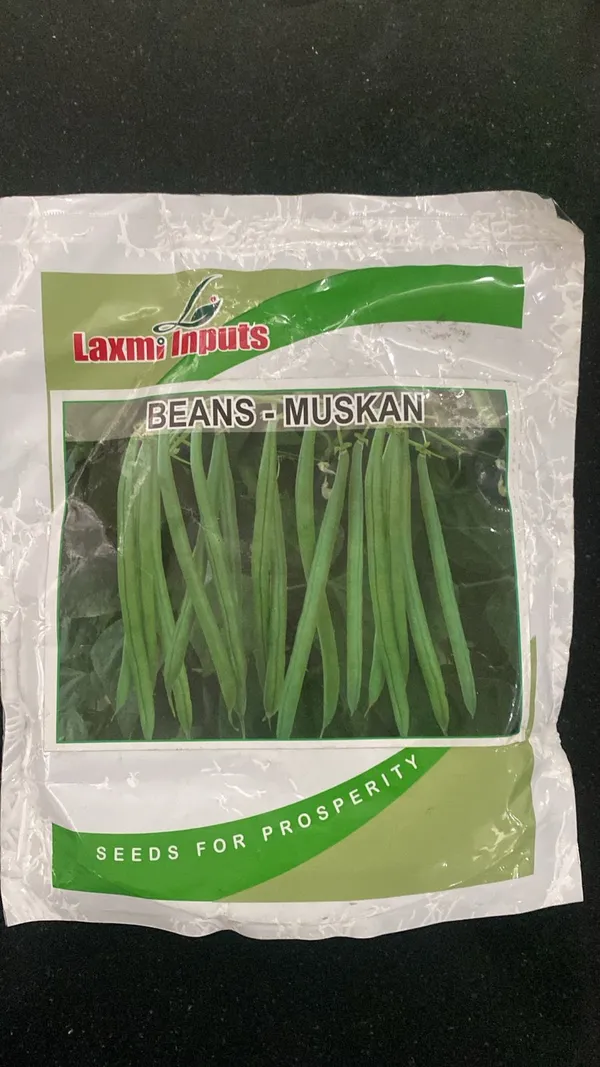 Muskan_Beans_Seeds_-_Laxmi_Inputs_Seeds_for_Prosperity