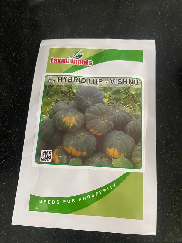F1_Hybrid_LHP_Vishnu_Pumpkin_Seeds_by_Laxmi_Inputs