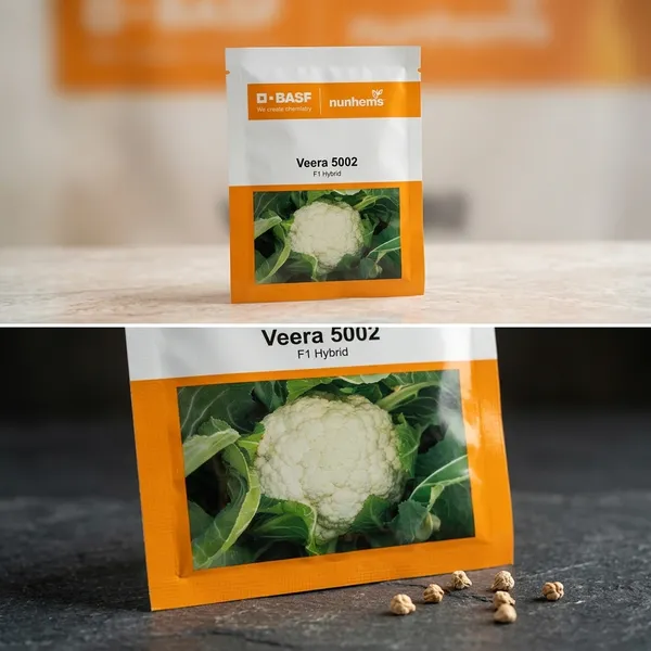 BASF_Nunhems_Veera_5002_F1_Hybrid_Cauliflower_Seeds_&_Anokhi_F1_Hybrid_Okra_Seeds_Combo_Pack