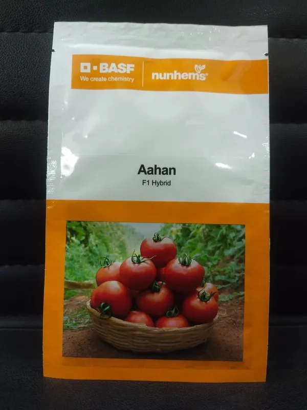 BASF_Nunhems_Aahan_F1_Hybrid_Tomato_Seeds