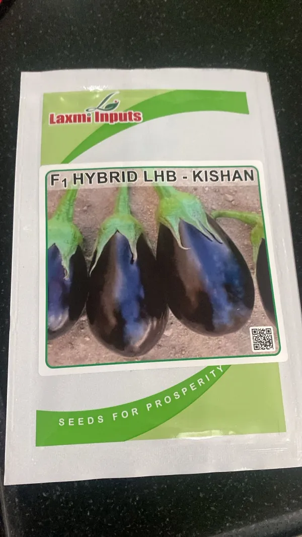 F1_Hybrid_LHB_Kishan_Eggplant_Seeds_-_High_Yield_Brinjal_Seeds