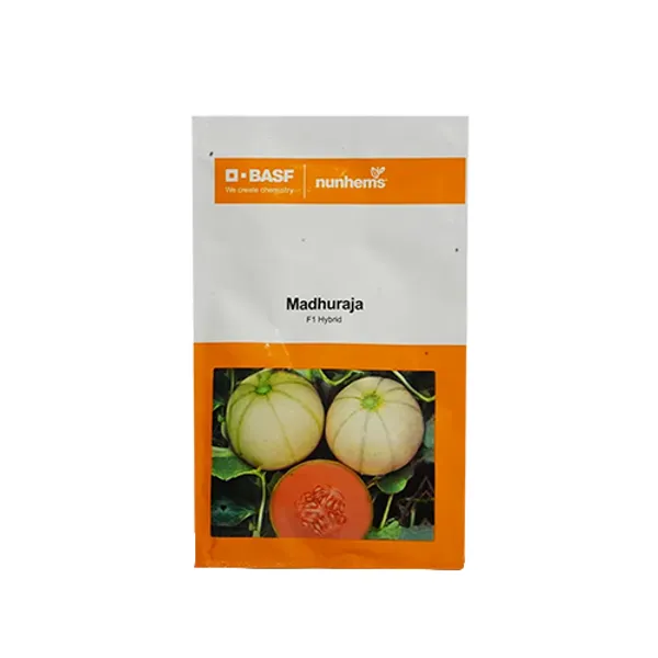 BASF_Nunhems_Madhuraja_F1_Hybrid_Muskmelon_Seeds