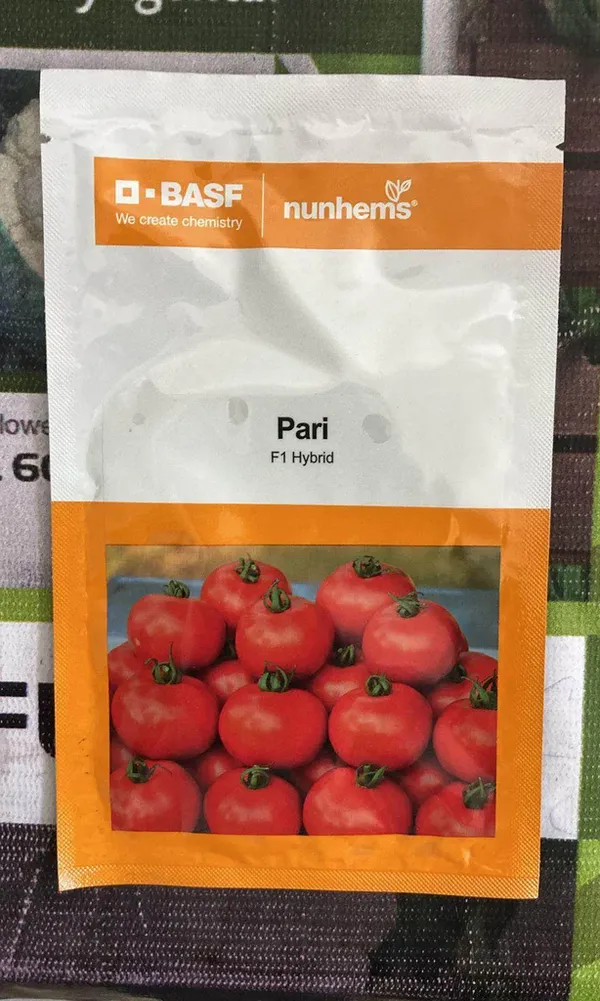Pari_F1_Hybrid_Tomato_Seeds_by_BASF_Nunhems