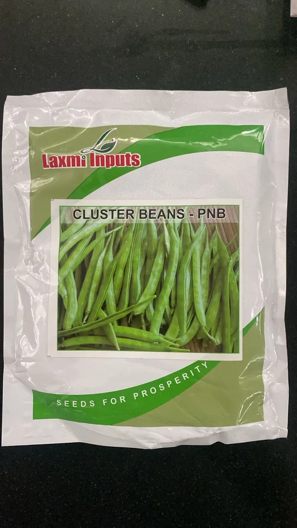 Laxmi_Inputs_Cluster_Beans_(PNB)_Seeds_-_Vegetable_Seeds_for_Home_Gardening