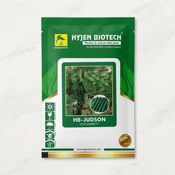 HB-Judson_F1_Hybrid_Cucumber_Seeds_-_Hyjen_Biotech