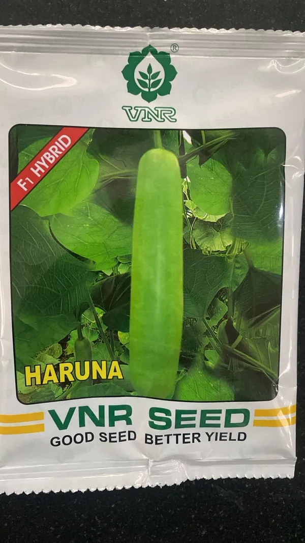 VNR_Haruna_F1_Hybrid_Bottle_Gourd_Seeds_(Lauki/Ghiya_Seeds)