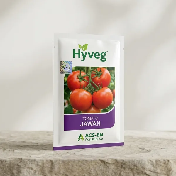 Hyveg_Tomato_Jawan_Seeds_-_Premium_Quality_Vegetable_Seeds_for_Home_Gardening