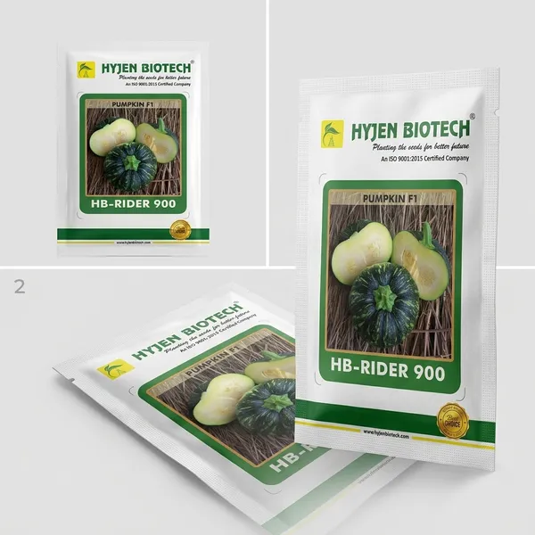 HB-RIDER_900_Hybrid_Pumpkin_F1_Seeds_by_Hyjen_Biotech