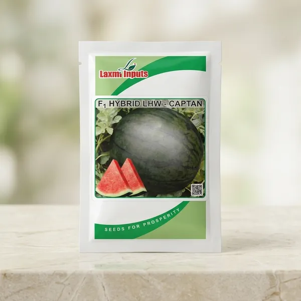 F1_Hybrid_LHW_Captan_Watermelon_Seeds_by_Laxmi_Inputs