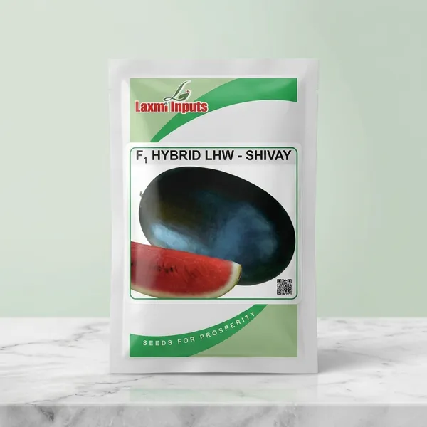 F1_Hybrid_LHW-Shivay_Watermelon_Seeds_by_Laxmi_Inputs
