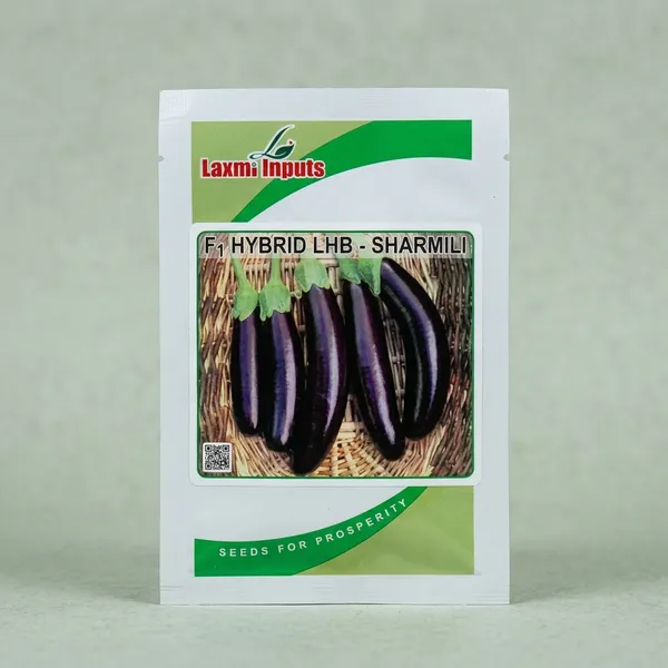 F1_Hybrid_LHB_Sharmili_Brinjal_Seeds_by_Laxmi_Inputs