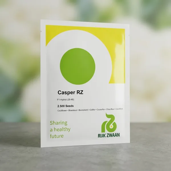 Casper_RZ_F1_Hybrid_Cauliflower_Seeds_-_2500_Seeds_by_Rijk_Zwaan