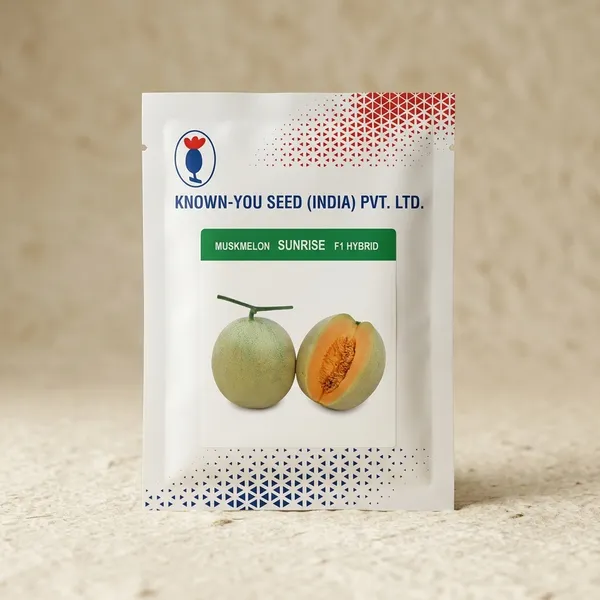 Known-You_Seed_Muskmelon_Sunrise_F1_Hybrid_Seeds