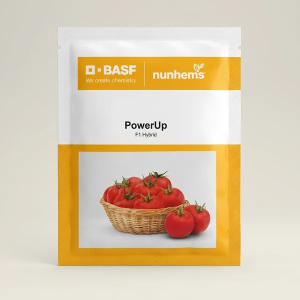 BASF_Nunhems_PowerUp_F1_Hybrid_Tomato_Seeds