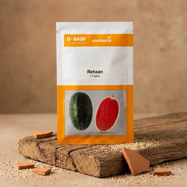 Rehaan_F1_Hybrid_Watermelon_Seeds_-_BASF_Nunhems