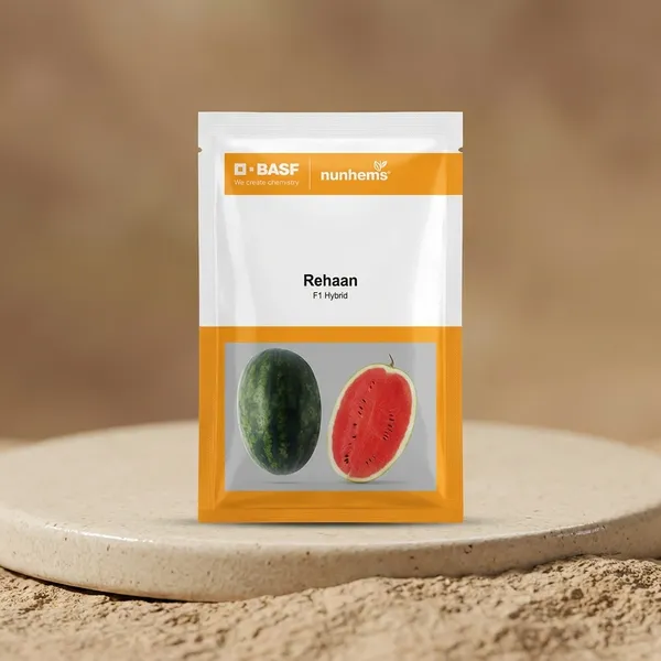 Rehaan_F1_Hybrid_Watermelon_Seeds_-_BASF_Nunhems