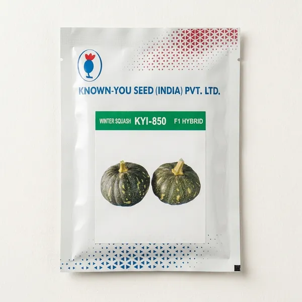 Known-You_Winter_Squash_KYI-850_F1_Hybrid_Seeds