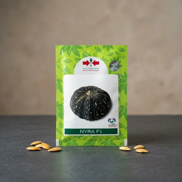 Nyra_F1_Hybrid_Pumpkin_Seeds_-_East-West_Seed