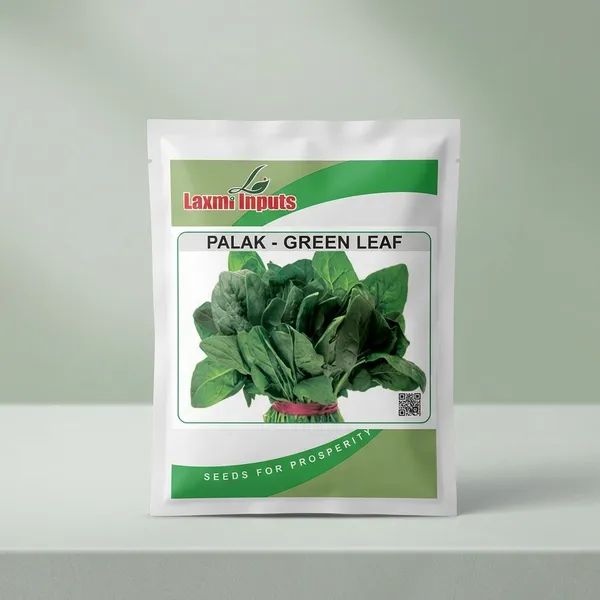 Palak_-_Green_Leaf_Seeds_by_Laxmi_Inputs